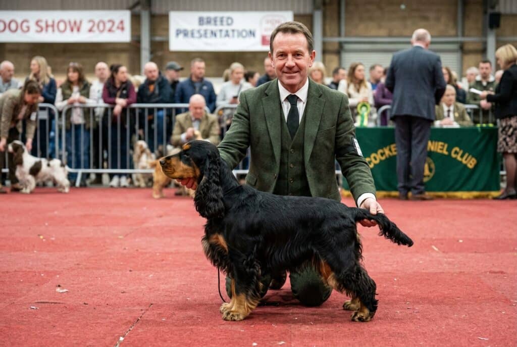 Cocker negro y fuego adulto posando en una exposición canina junto a una persona arrodillada